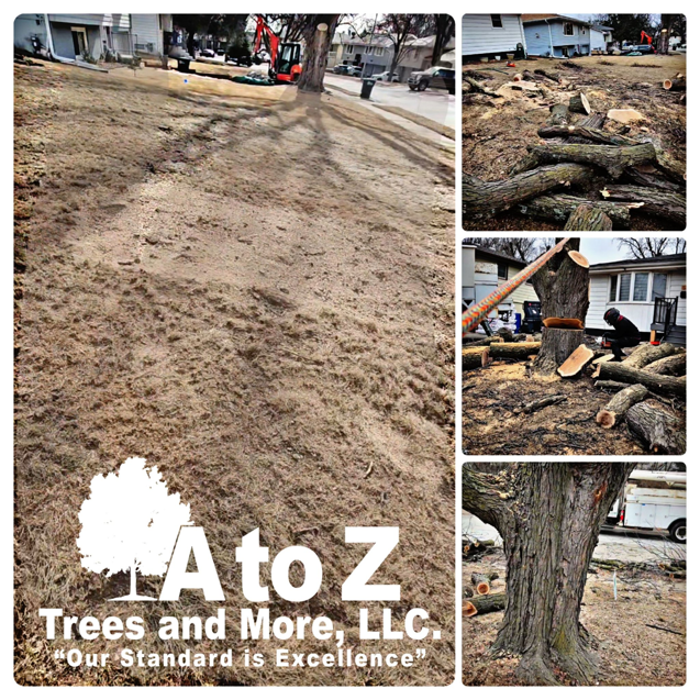 A collage showing tree service work including wood chips, cut logs, and a worker cutting a tree by A to Z Trees and More LLC in Omaha, NE.