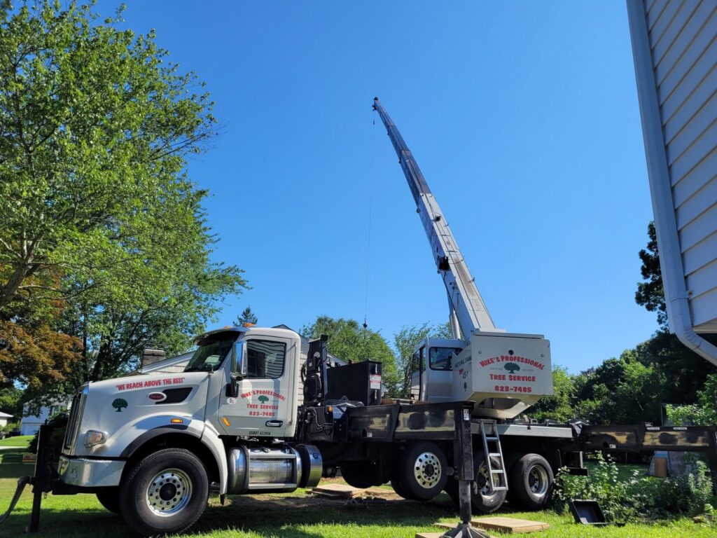 A branded crane truck from Mike's Professional Tree Service parked on a lawn, ready for tree removal in Coventry, RI.