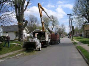 A tree service crew with a bucket truck, wood chipper, and dump truck working on a tree in a residential area for KT Farms, Tree Service & Logging LLC in Springfield, MO.