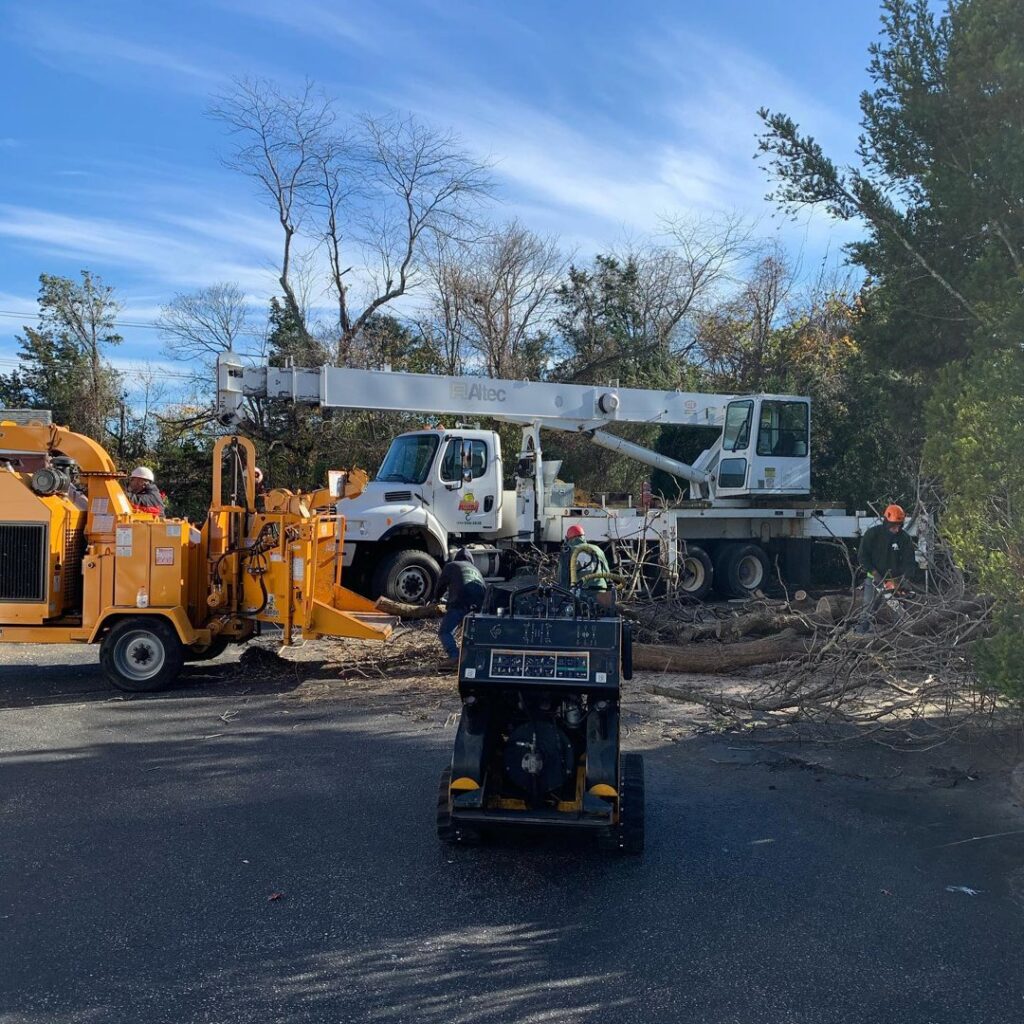 A tree service crew with a bucket truck, chipper, and mini skid steer working on a residential street for Toms River Tree Service, LLC in Toms River, NJ.