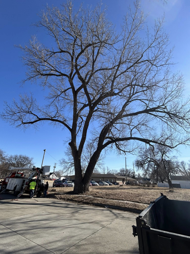 A tree service crew with a bucket truck preparing to work on a large tree for Kahlo's Tree Service in Stanton, NE.