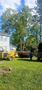 De Paz Tree Service crew with a wood chipper and truck, performing tree trimming in Katy, TX