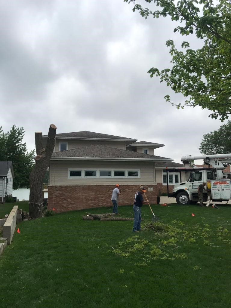 Jeff's Tree Service crew members raking and cleaning up branches after a tree removal job in Sioux City, IA.