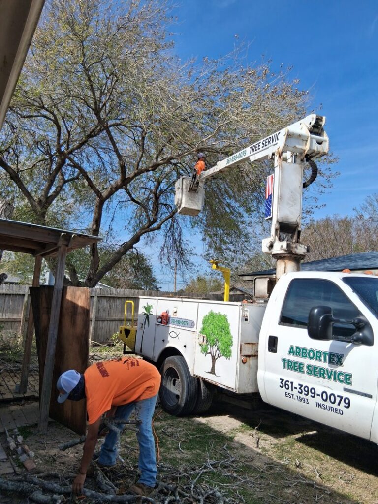 An Arbortex Tree Service crew member cleaning up cut branches after a job in Corpus Christi, TX.