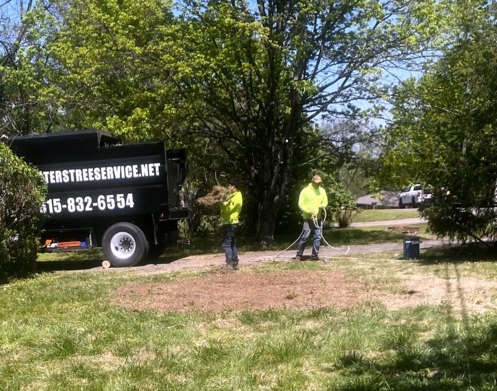 A tree service crew cleaning up debris next to a dump truck after a job by Webster's Tree Service Nashville TN in Antioch, TN.