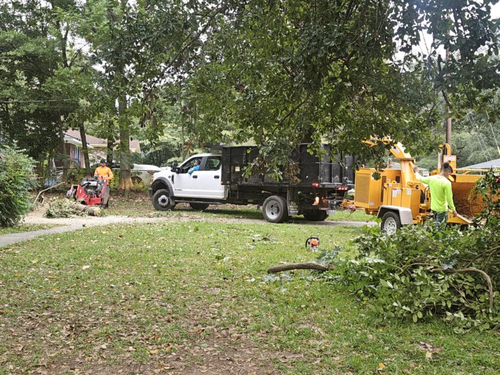 De Paz Tree Service crew clearing branches and operating a wood chipper in Katy, TX