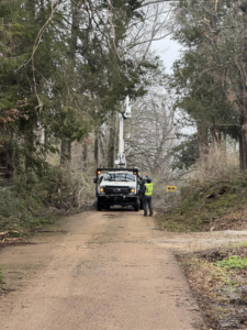 A tree service crew clearing branches from a road with a bucket truck for Risk Tree Service in Kenner, LA.