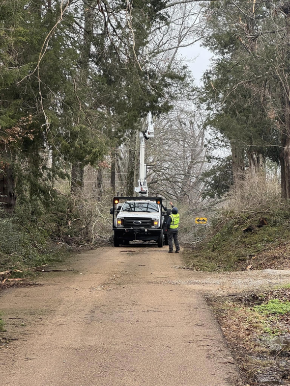 A tree service crew clearing branches from a road with a bucket truck for Risk Tree Service in Kenner, LA.