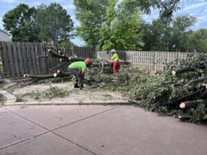 A tree service crew cutting fallen branches with chainsaws in a backyard for Arbor Aesthetics Tree Service in Omaha, NE.
