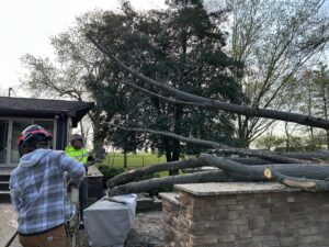 Two tree service crew members cutting fallen tree logs with chainsaws in a backyard, providing efficient cleanup by Gray's Tree and Crane Service in Evansville, IN.