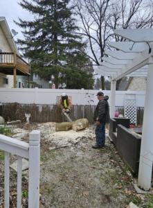 A tree service crew member cutting large logs with a chainsaw in a backyard for Asg Tree Service in Kalamazoo, MI.