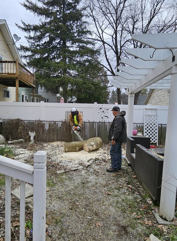 A tree service crew member cutting large logs with a chainsaw in a backyard for Asg Tree Service in Kalamazoo, MI.