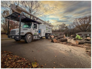 A tree service crew member cutting logs with a chainsaw next to a boom truck for U & A Tolentino Bros Tree Services LLC in Nashville, TN.