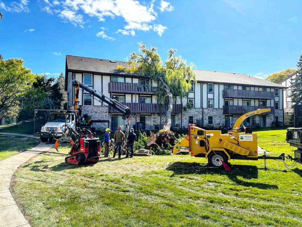 A tree service crew with a crane, mini skid steer, and wood chipper working on a large tree at an apartment complex for Lake Forest Tree Service LLC in Milwaukee, WI.