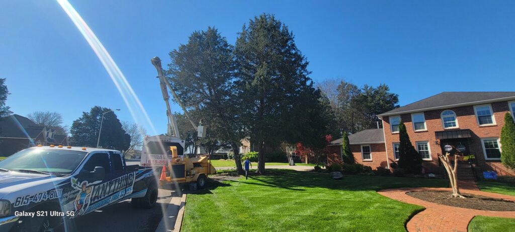 A tree service crew with equipment set up for a residential job by Middle Tennessee Tree Service in Cookeville, TN.