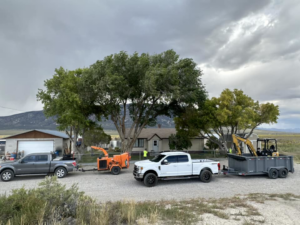 Whipple Tree Service crew and equipment, including trucks, chipper, and excavator, at a job site in Mesquite, NV.