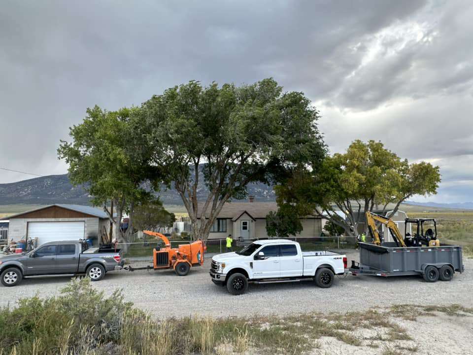 Whipple Tree Service crew and equipment, including trucks, chipper, and excavator, at a job site in Mesquite, NV.