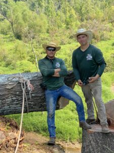 Two tree service crew members from Mr. Green-Jeans Lawn Service & Tree Service standing next to a large felled tree in Decatur, AL.