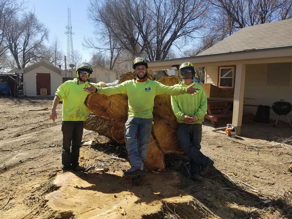 Arbor Med Tree Service crew members standing proudly next to a large tree trunk after a removal job in Wichita, KS.