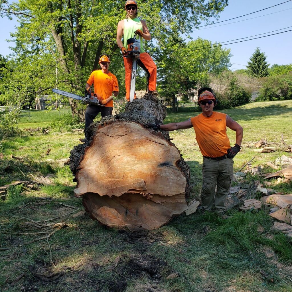 Making the Cut Tree Service crew posing with chainsaws next to a large tree trunk after a removal in Muskego, WI.