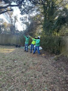 A crew from Complete Tree Service, LLC in safety gear managing ropes during a tree service job in Charleston, SC.