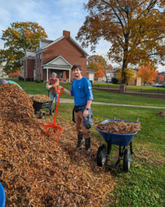 A tree service crew from Trees Lexington in Lexington, KY, mulching wood chips into wheelbarrows during a fall cleanup.