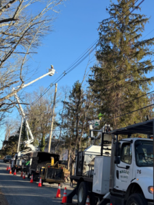 A Malec Tree Service crew working on trees near power lines with a bucket truck in Harrisville, RI