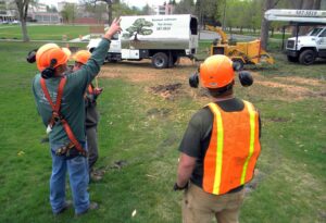 A Bozeman Arborcare Tree Service LLC crew in safety gear on a job site with a wood chipper and truck in Bozeman, MT.