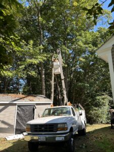 A tree service crew gathered on a job site with a large tree, ready for work by Two Daughters Trees & Driveways in Saco, ME.