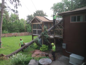 A tree service crew removing a large fallen tree branch from a residential property for Arbor Aesthetics Tree Service in Omaha, NE.