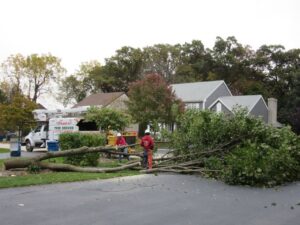 A tree service crew from Castros Tree Service removing a large fallen tree across a driveway in Spring, TX.