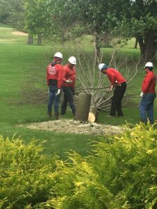 A tree service crew from Castros Tree Service working on removing a tree stump in Spring, TX.