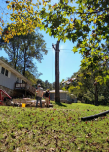 A tree service crew removing a tall tree trunk after felling by Full Throttle Tree Service in Douglasville, GA