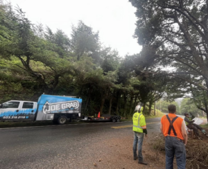 Joe Grab Tree Service crew performing roadside tree work in Tualatin, OR.