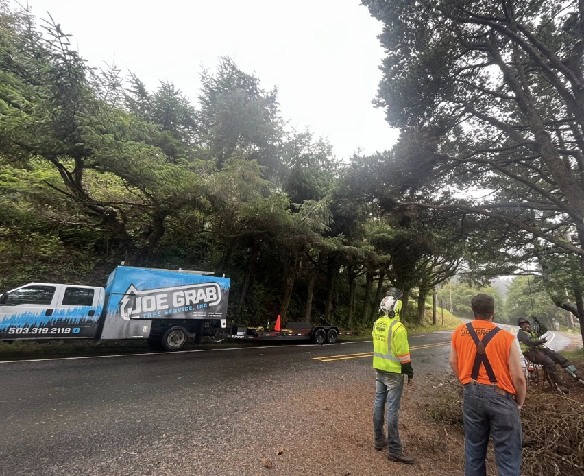 Joe Grab Tree Service crew performing roadside tree work in Tualatin, OR.