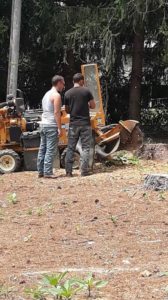 A tree service crew operating a stump grinder for Brothers In Arms Tree Care in Johnson City, TN.