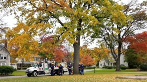 A tree service crew with a truck and wood chipper on site, ready for work by JTE & Company in Oxford, MA.