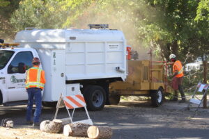 A tree service crew feeding branches into a wood chipper for debris removal by A Better Tree Service in Sacramento, CA.