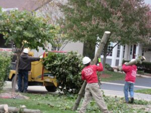A tree service crew from Castros Tree Service using a wood chipper to process branches in Spring, TX.