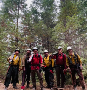 A group of tree service crew members from Wild Roots Arborist posing in a forest in Fayetteville, AR.