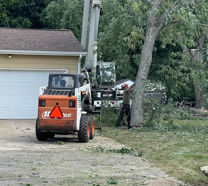A tree service crew with a Bobcat skid steer and crane truck working on a tree removal project for Tip Top Tree Care in Grand Rapids, MI.
