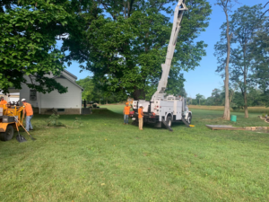 A tree service crew with a bucket truck and wood chipper working on a large tree removal job for G & C Tree Service LLC in Schenectady, NY.