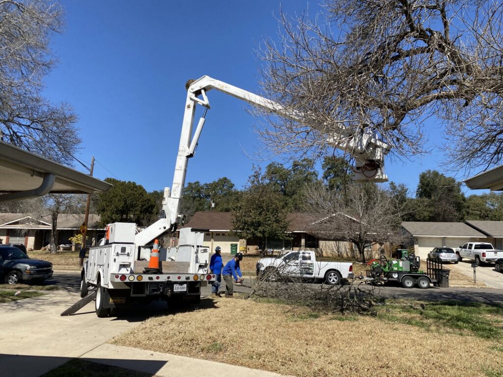 A tree service crew with a bucket truck and cut branches on the ground for S.A. Total Tree Service in San Antonio, TX
