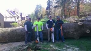 Tree service crew with chainsaws by a large removed tree trunk from 20/20 Landscaping and Tree Service in Pittsburgh, PA.