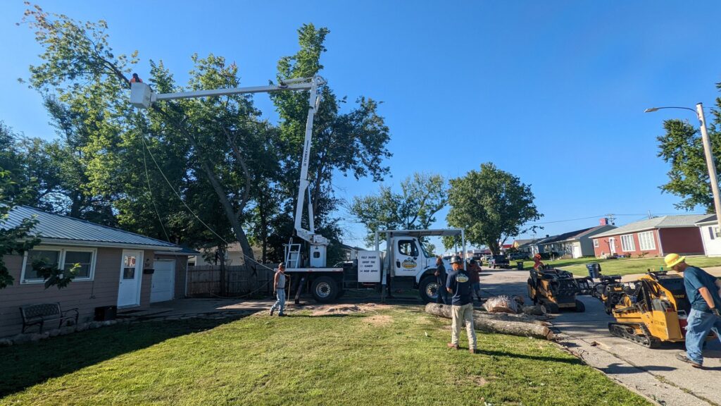 A Frank's Tree Service crew with a chipper and bucket truck performing tree work in Davenport, IA.