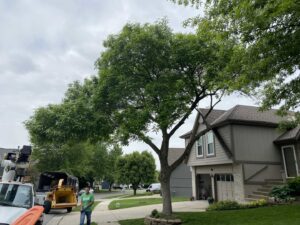 An Affordable Treefellers crew with a wood chipper and bucket truck performing tree service in a residential neighborhood in Shawnee, KS.