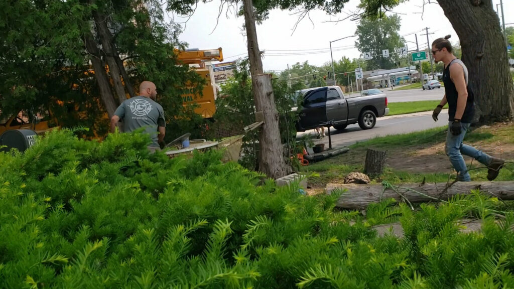 A tree service crew working with a chipper truck and cut logs on a job site for JT Tree Service & Removal in Toledo, OH.