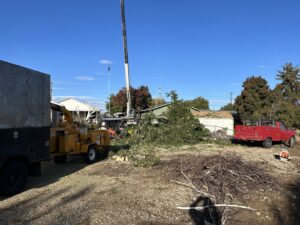 A tree service crew with a crane, wood chipper, and truck, actively working on a job site for DeMasters Tree Care LLC in Nampa, ID.