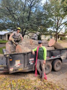 Two tree service crew members standing next to a trailer loaded with large tree logs, from The Tree Amigos in Austin, TX.