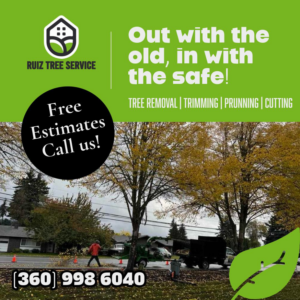 A tree service crew operating a wood chipper on a street, performing tree removal or trimming for Ruiz tree service in Vancouver, WA.